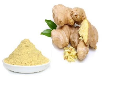 ginger powder bulk