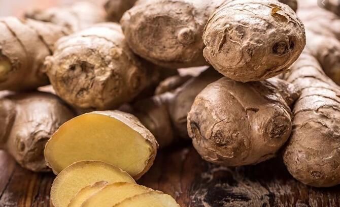 organic ginger root powder benefits