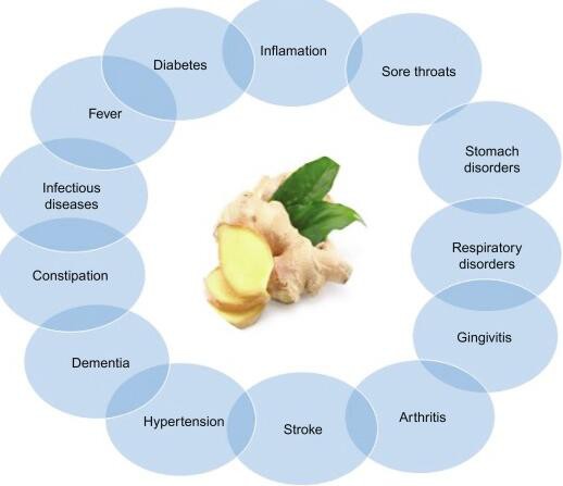 Dry Ginger Powder Uses