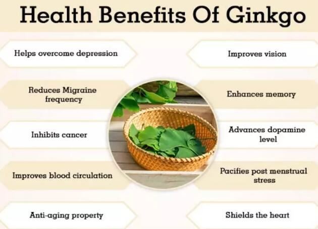 Ginkgo Leaf benefits