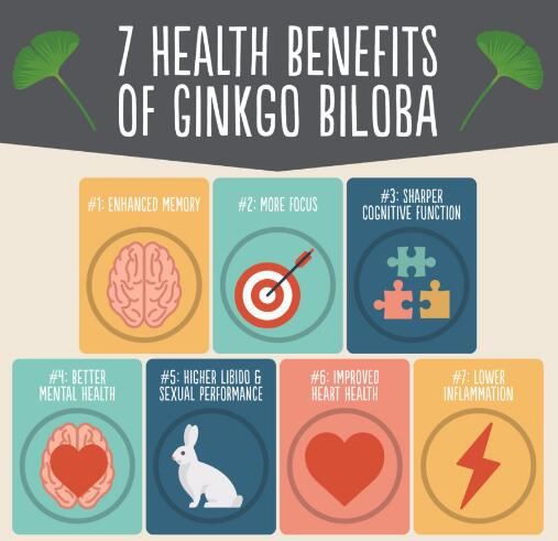 ginkgo biloba benefits