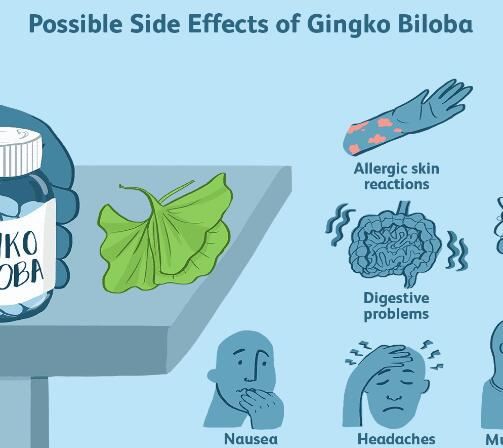 ginkgo biloba uses