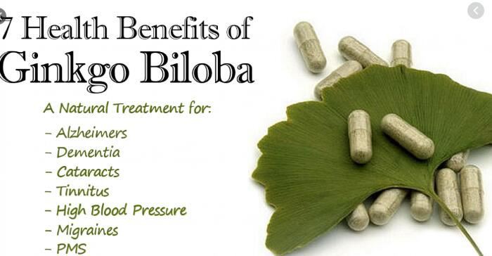 ginkgo biloba standardized extract benefits