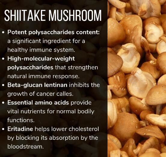 Shiitake Mushroom Benefits