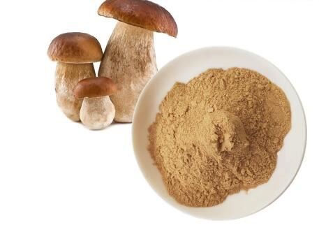 organic shiitake mushroom powder