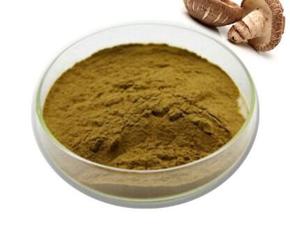 dried shiitake mushroom powder