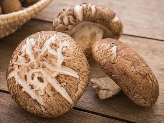 Shiitake Powder Benefits