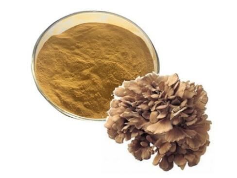 maitake extract powder