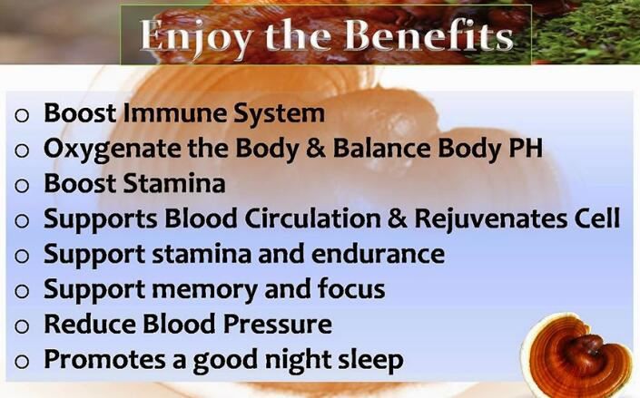 Ganoderma Lucidum Benefits