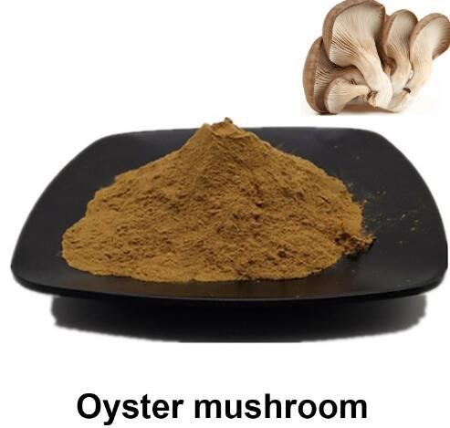 oyster mushroom powder price