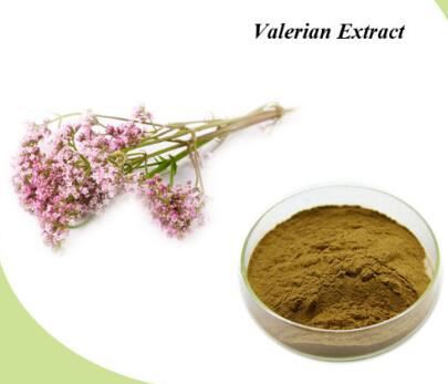 valerian application