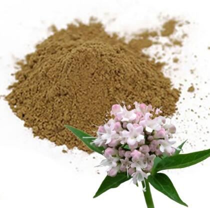 best valerian root extract