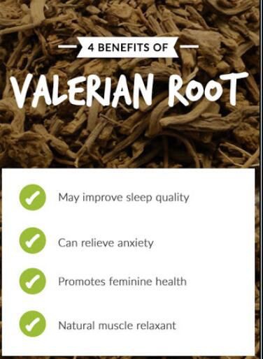 organic valerian root benefits