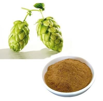 hops extract flower