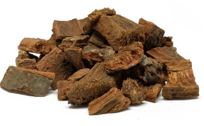 Cinchona bark benefits