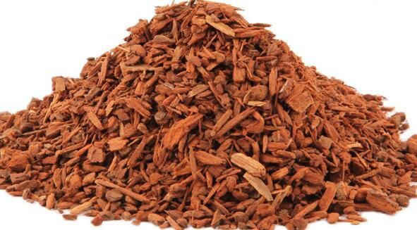 cinchona bark powder benefits