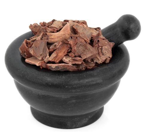 Cinchona bark extract benefits