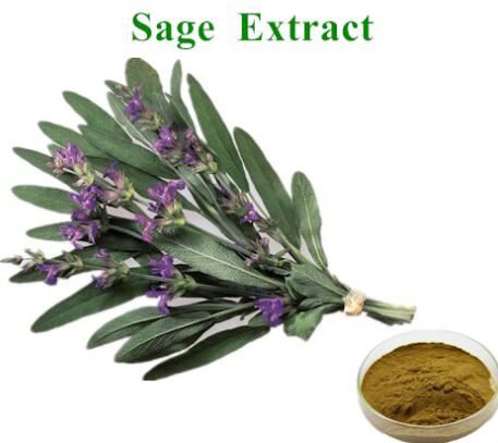 sage leaf extract