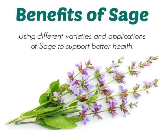 Sage benefits