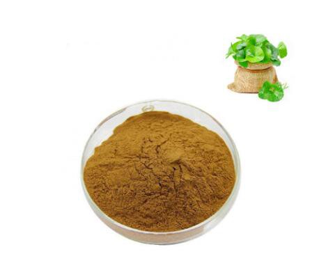 gotu kola herb extract