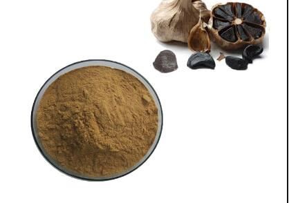 black garlic powder