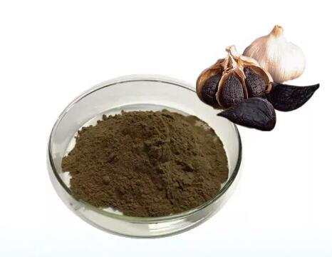 fermented black garlic powder