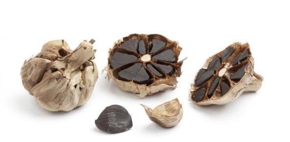 black garlic powder benefits