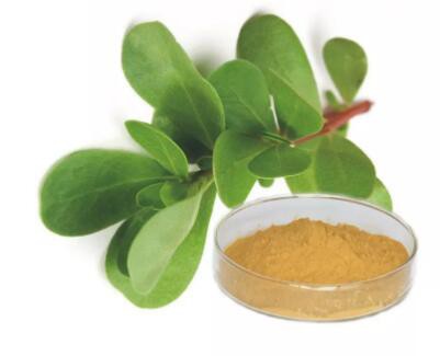 portulaca extract