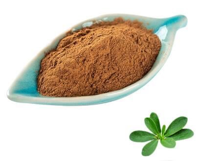 purslane extract powder