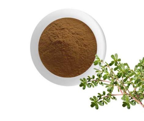 organic purslane powder