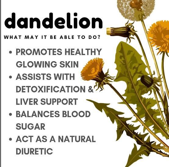 Dandelion Root Benefits