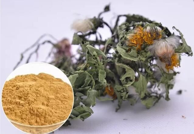 organic dandelion extract