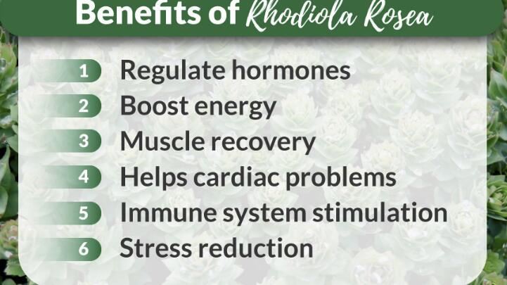 Rhodiola Rosea benefits