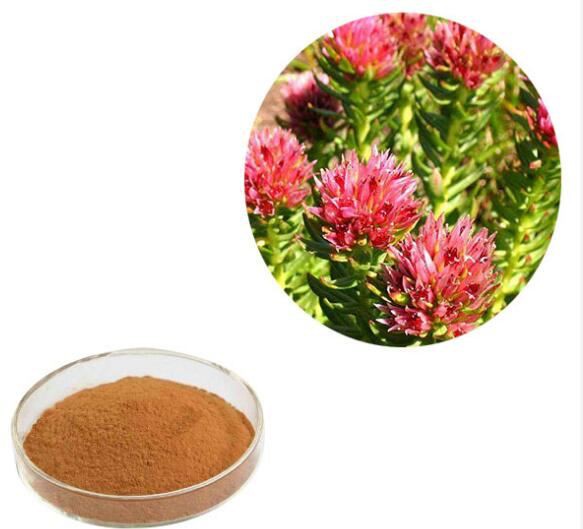 rhodiola rosea root powder