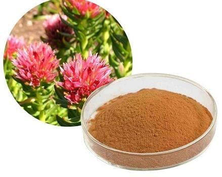 rhodiola rosea bulk powder