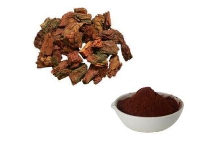 Pine Bark Extract Powder Benefits