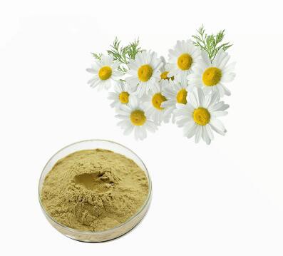 chamomile herb powder