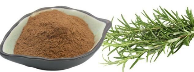 rosmarinus officinalis (rosemary) leaf extract