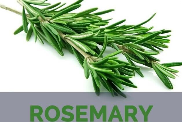 rosemary leaf skin benefits