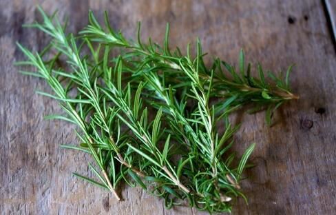 rosemary leaf uses