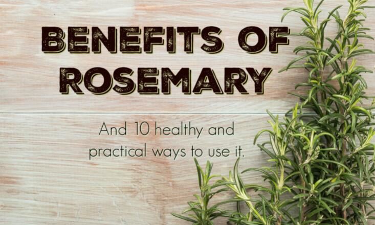 rosemary leaf benefits