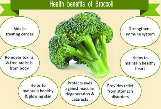 Broccoli Benefits