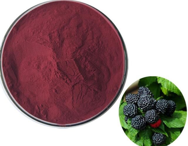 black raspberry fruit extract