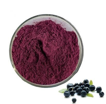 acai berry extract powder