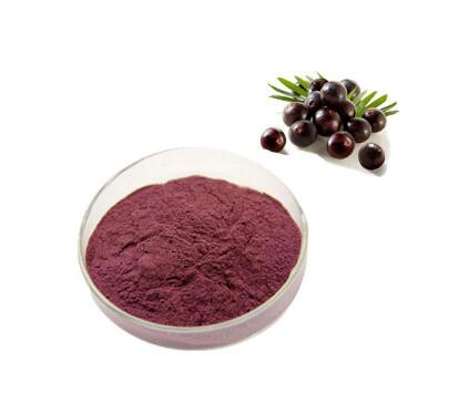 acai powder wholesale