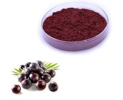 pure organic acai powder