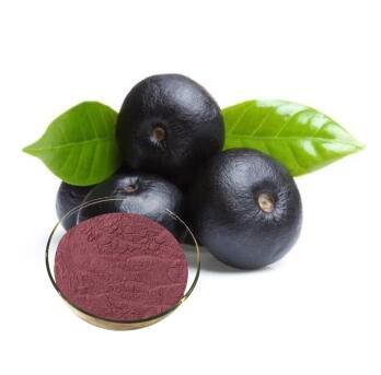 pure acai berry powder