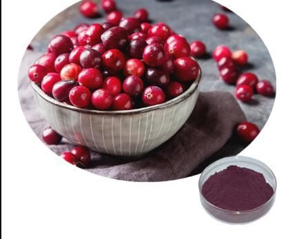 bulk cranberry powder