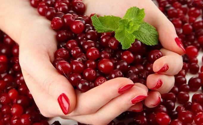 Cranberry Powder Benefits