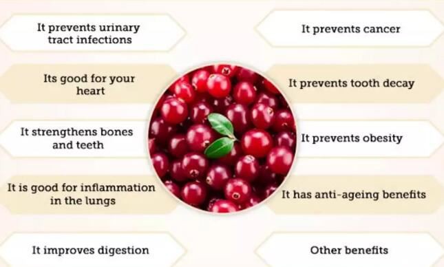 cranberry fruit benefits